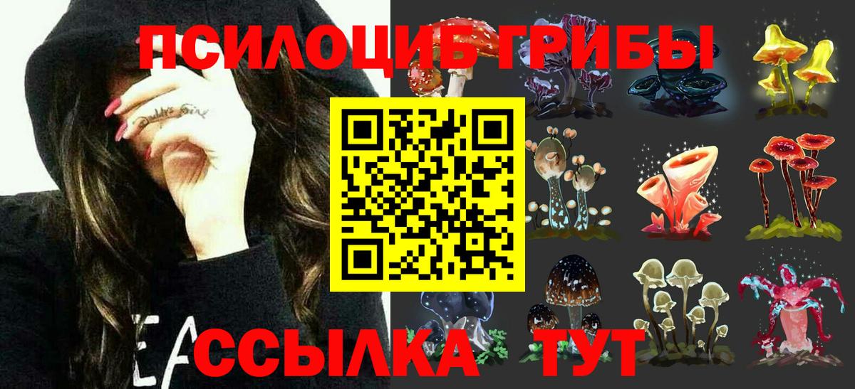 Псилоцибиновые грибы GOLDEN TEACHER  Вход с VPN  Щёкино 