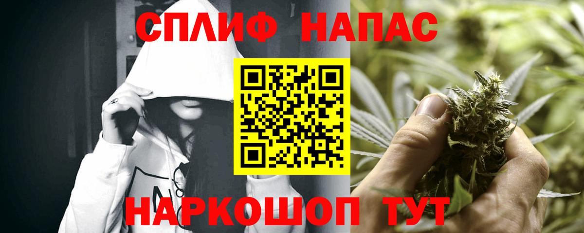 Бошки Шишки семена Щёкино